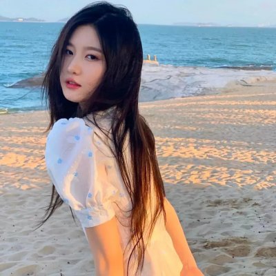 阿基里斯与龟