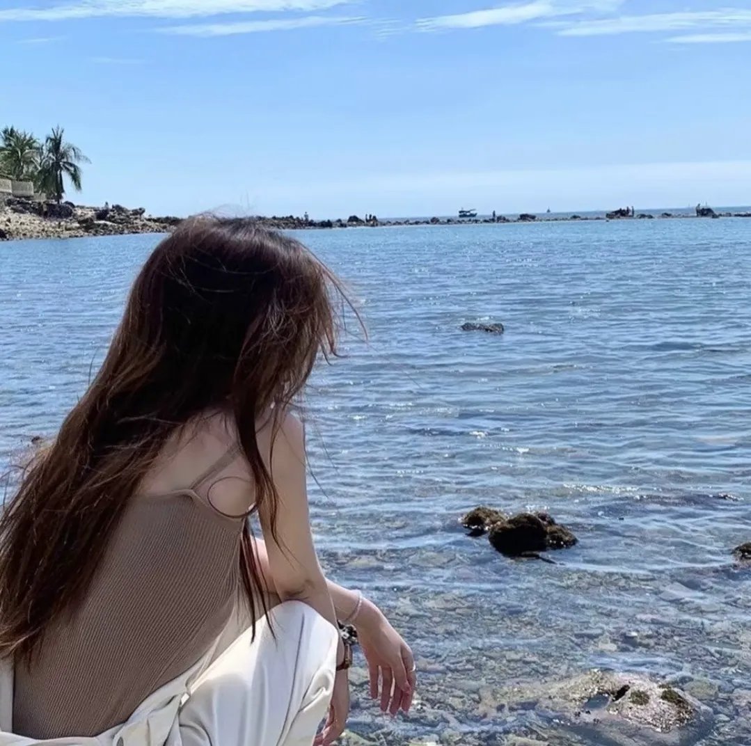 超级情报员麦汉4